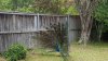 20191116_110506.jpeg