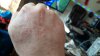 20191110_132936.jpeg 20191110_132936.jpeg