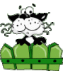 h2620.gif