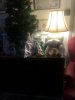 charlie Christmas tree.JPG
