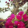 IMG_20191215_000032_289.jpeg