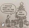 alexa.jpg