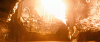 image.gif