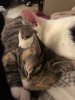 c & l snooze 2.JPG