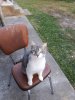 20190904_193410.jpeg