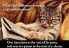 28B00C70-2EB6-441B-9D48-1167766F2B96.jpeg