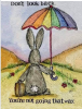 rabbit dont looo back.png