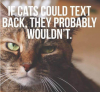 cats who text.png