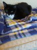 20200301_074538.jpg