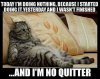 hard-working-cat-meme.jpg