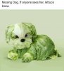 FB_IMG_1583165954567.jpg