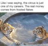 E2C376B9-A65B-41D9-A413-DBF89513F9BF.jpeg