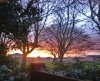 Image_1585592957 - Edited.jpg