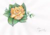upload_2020-4-2_8-31-42.jpeg