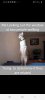 Screenshot_20200405-233341_Facebook.jpg