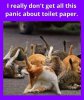 tpcats.jpg