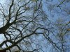 2F6D5857-A4CE-4690-BB2F-03CB1D8D79E5.jpeg