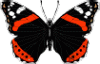 4959EE93-1B75-4397-AE32-5AFF085377D1.gif