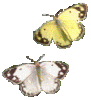14D141E3-8325-4589-AFC7-3E54034CC198.gif