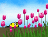 8F172FE0-8A9B-433B-8F21-9CFA624FE4CF.gif