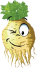 B518DD5D-D4BC-452D-9BF9-293887BD94FD.png