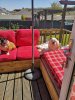IMG_20200424_134552.jpg