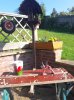 received_274924440194017.jpeg