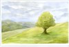 upload_2020-5-4_18-50-18.jpeg