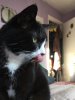 581976C6-FEB1-44D6-99CF-D0E96715DAE8.jpeg