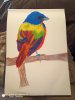 bird3.jpg