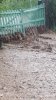 20200509_181731.jpeg