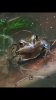 A520BFF8-9C3E-4288-B6A2-47047F9FA26C.png