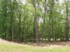 lowerfield.jpg