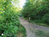IMG_20200528_175347~01.jpg