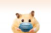 Hamsters Masks.jpeg