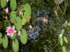 7728C93B-F67F-447D-A0D8-18C32EBBE937.jpeg