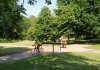 IMG_20200623_152759~01.jpg