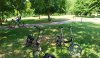 IMG_20200623_152746~01.jpg