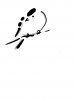 78FFE9F3-7904-4985-AC1B-46AEEEA8D9B0.jpeg