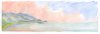upload_2020-7-4_19-43-14.jpeg