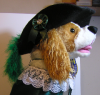 cava-hat.png
