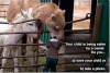 0E495463-84C8-46F8-B5DD-2837BAA1A024.png