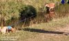 IMG_20200722_175239~01.jpg