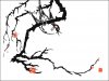 AD93902D-3CD4-4AA9-8BBE-AE37E9AD5EF3.jpeg