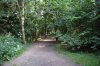 cool path2.jpg