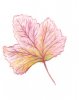 upload_2020-9-11_10-22-12.jpeg