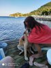 IMG_20200910_175435~01.jpg