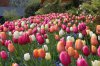 IMG_0206 - Copy.jpg