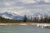 IMG_0406.jpg