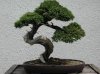 ImageUploadedByDCUK Forum1407525872.859670.jpg